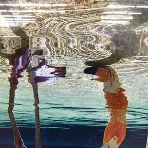 Save $  BUNDLES OF 2 or more